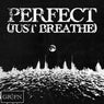 PERFECT (JUST BREATHE)