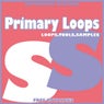 Primary Loops