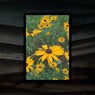 Garden Lullabies