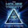 The House Trinity (Original Mix)