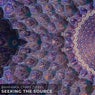 Seeking the Source