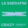 CRAZY (Japanese ver. / Party Remixes)