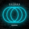 Friends (with Robert Falcon) [Extended Mix]