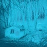 Pictures of the Past - Slowed + Reverbed