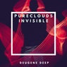 Invisible