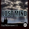 Lost Mind
