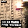 Pepper / Cyber Zoo !