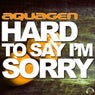 Hard to Say I'm Sorry (The Hands Up, Happy Hardcore & Hardstyle Remixes)