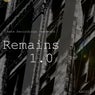 Remains 1.0