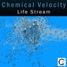Life Stream