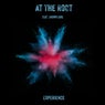 At The Root Experience (Remixes)