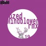 Mindblower - the Remixes