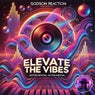 Elevate the Vibes
