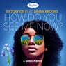 How Do You See Me Now? (Guido P Remix)