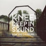 Knee Deep in Sound: BPM 2017 Sampler