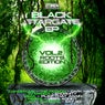 Black Stargate Volume Two Roots Edition
