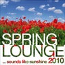 Spring Lounge 2010