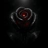 HOLLOW PULSE