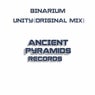 Unity (Original Mix)