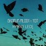 Hymny Lecę