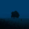 loneliness