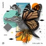 Collabs