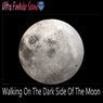Walking On The Dark Side Of The Moon