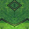 Plant Loop
