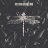 Ember