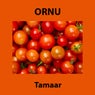 Tamaar