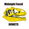 Midnight Fossil