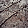 Coldfront