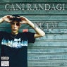 Cani randagi