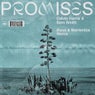 Promises (Illyus & Barrientos Extended Remix)