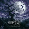 Nocturnal Spirit
