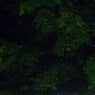 OTR2019 Disambiguation