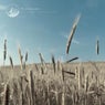 Particle Journey