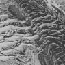 Glaciate