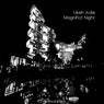 Magnifict Night