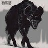 Jungle Call (feat. DJ Kenny Vibrante & Selektive kontrol)