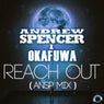 Reach Out (Ansp Mix)