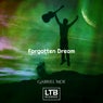 Forgotten Dream