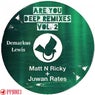 Are You Deep Remixes V2
