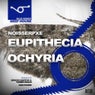 Eupithecia/Ochyria