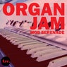 Organ Jam