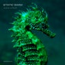 Static Swim