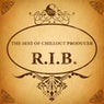 The Best of Chillout Producer: R.I.B.