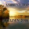 Ambient Top Autumn 2018