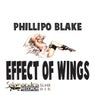 Effect Of Wings			