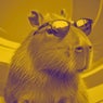 Como Baila el Capibara